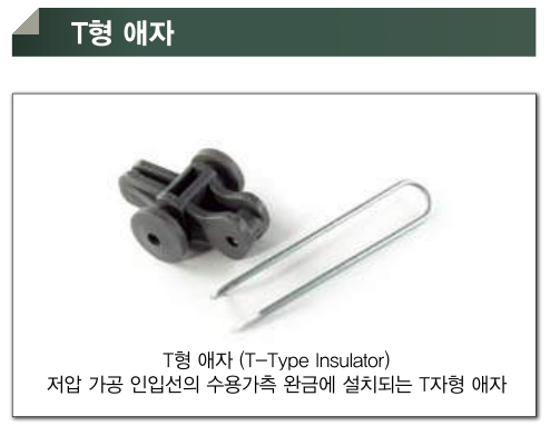 T형 애자